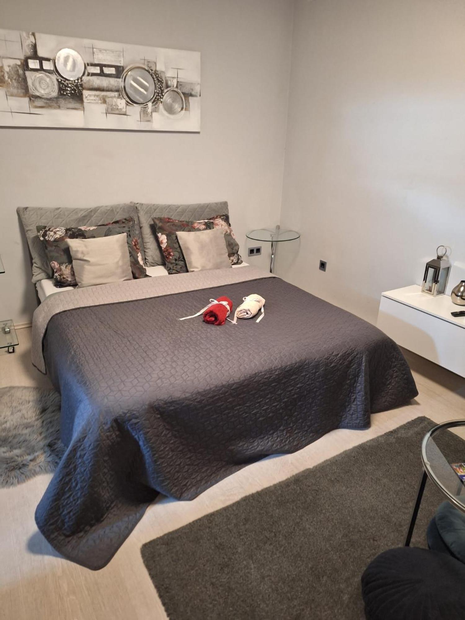 Apartment Apex Penthouse Self Check-In 카를로바츠 외부 사진